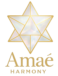 cropped amae logo.png